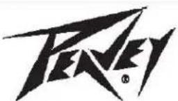 PEAVEY PV 16DR - Caution - 1