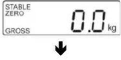 Kern MPE 250K100HNM - Procedure: - 1