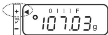 Kern PNJ 600-3M - ▶ Avertissement surcharge - 2
