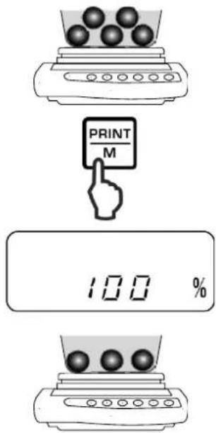 Kern PNJ 600-3M - Reference setting (100 % value) - 2