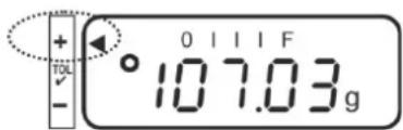 Kern PNJ 600-3M - 4. - 4