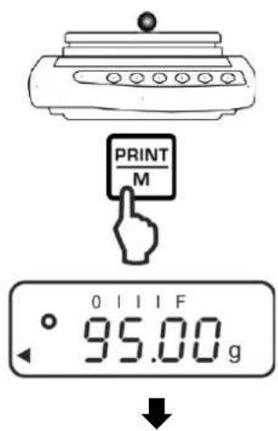 Kern PNJ 600-3M - 2. - 1
