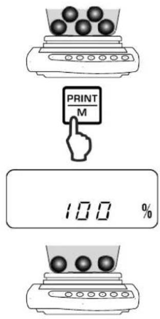 Kern PNJ 600-3M - Referenz einstellen (100 %-Wert) - 2