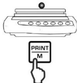 Kern PNJ 600-3M - 2. - 1