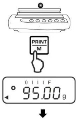 Kern PNJ 600-3M - 2. - 1
