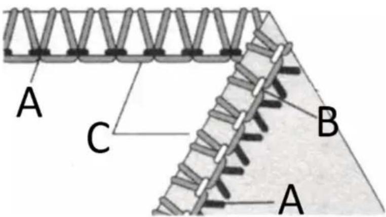 Uniprodo VANDER PRO - Equilibrio corretto - 4