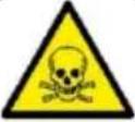 MSW AVR 5000S EURO5 - CAREFULLY READ AND UNDERSTAND THIS MANUAL BEFORE STARTING THE WORK. - 11