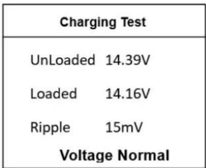 MSW BLT-2 - Opladningstest (test af vekselstrømsgenerator) - 1