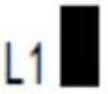 MSW GDOOR-002A - IMPOSTAZIONE DELLA FUNZIONE DI CHIUSURA AUTOMATICA (L5) - 9