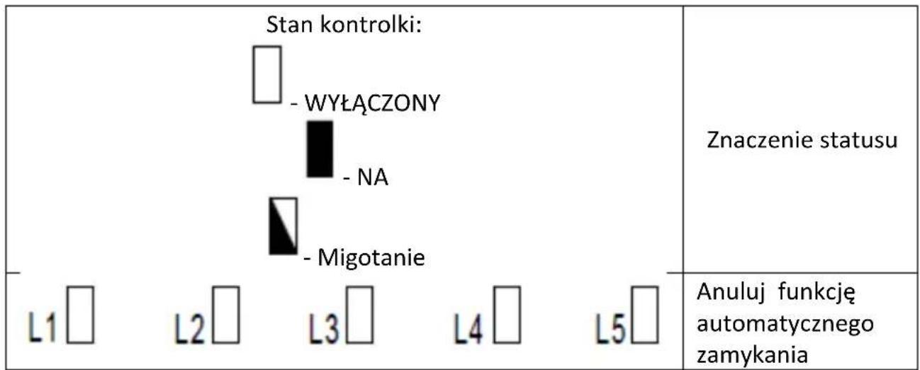 MSW GDOOR-002A - USTAWIENIE FUNKCJI AUTOMATYCZNEGO ZAMYKANIA (L5) - 2