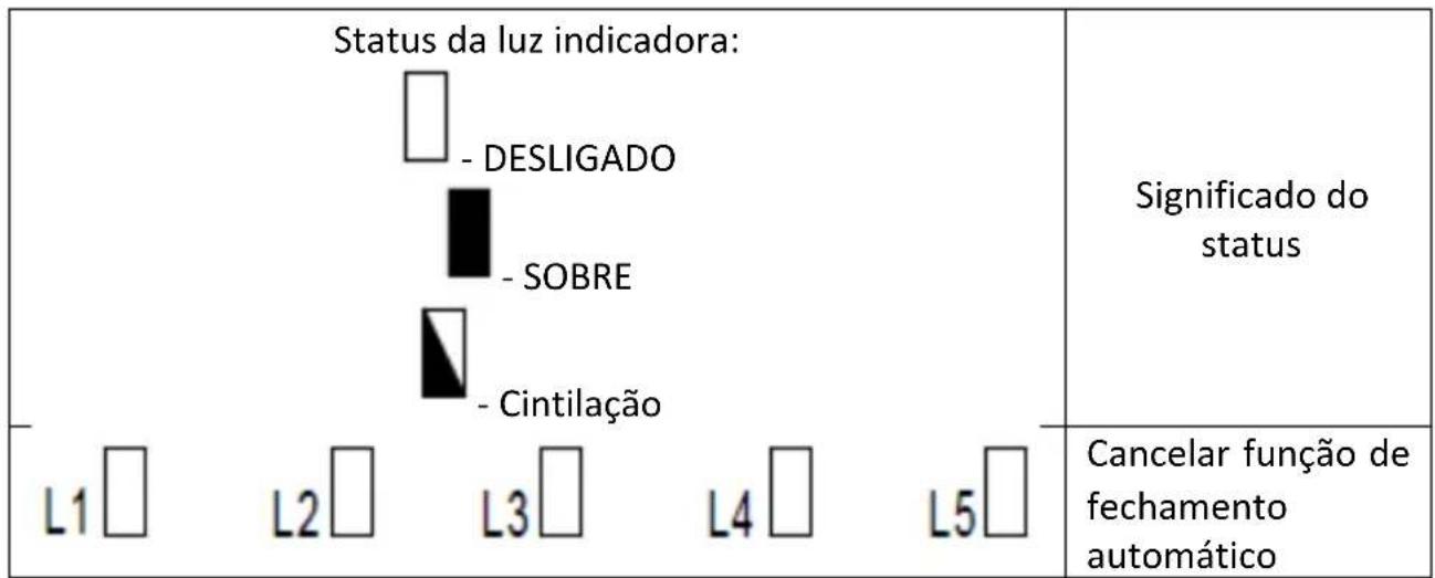 MSW GDOOR-002A - CONFIGURAÇÃO DA FUNÇÃO DE FECHAR AUTOMÁTICO (L5) - 2