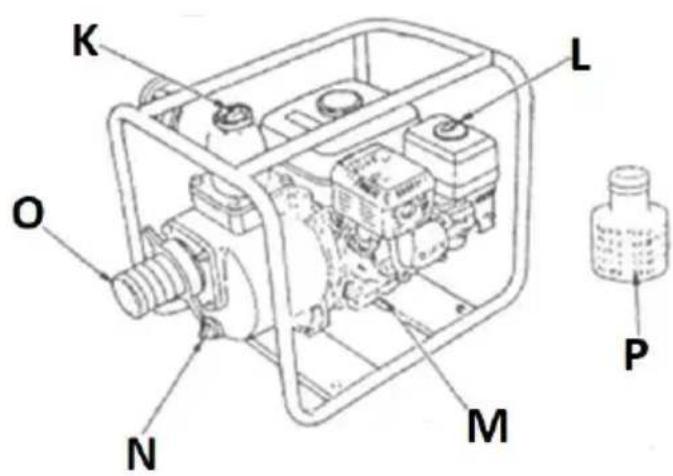 MSW GP-100 - Description de l'appareil - 2