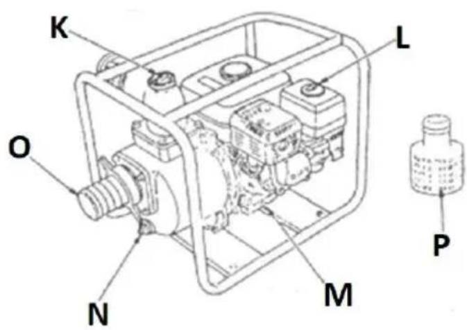 MSW GP-100 - Descripción del aparato - 2