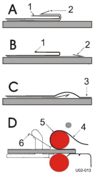 SEAL 54 EL - Mounting images or decals - 1