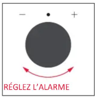 ROSIERES RO6 M5B3LYTB - ALARME - 3