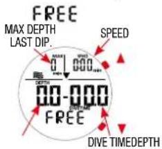 FREE MAX DEPTH LAST DIP. 0.1 000... DEPTH 00-000 DIVE TIMEDEPTH SPEED FREE