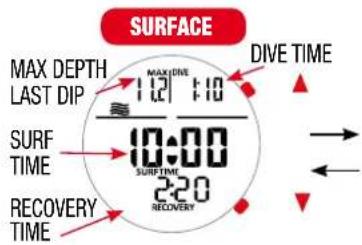 SURFACE MAX DEPTH LAST DIP 1:21 1:00 SURF TIME 10:00 SURF TIME 2:20 RECOVERY TIME DIVE TIME → ↓