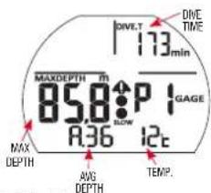 DIVE TIME 173 min MAX DEPTH m 85.8↑P↑GAGE A36 12t MAX DEPTH AVG DEPTH TEMP.