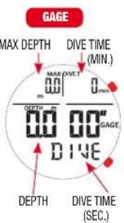 GAGE MAX DEPTH DIVE TIME (MIN.) MAX DIVE T 0.01 0.00 DEPTH m DEPTH m 0.00 0.00 GAGE 0.00 0.00 DEPTH DIVE TIME (SEC.)
