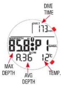 DIVE TIME 173 mm MAX DEPTH m 0 P 85.8° GAGE R.36° 12°C MAX DEPTH AVG DEPTH TEMP.