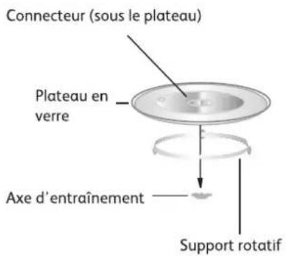 Connecteur (sous le plateau) Plateau en verre Axe d'entraînement Support rotatif