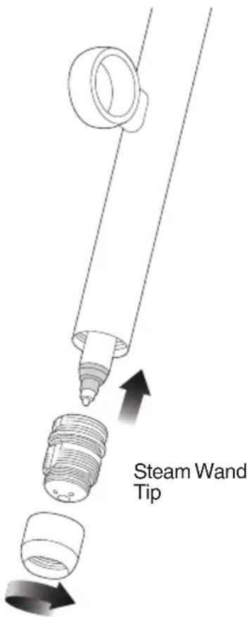 SAGE the Oracle Jet SES985 - CLEANING THE STEAM WAND - 1