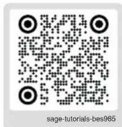 SAGE the Oracle Jet SES985 - Pulisci la lancia vapore - 1