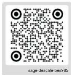 SAGE the Oracle Jet SES985 - REMARQUE - 4
