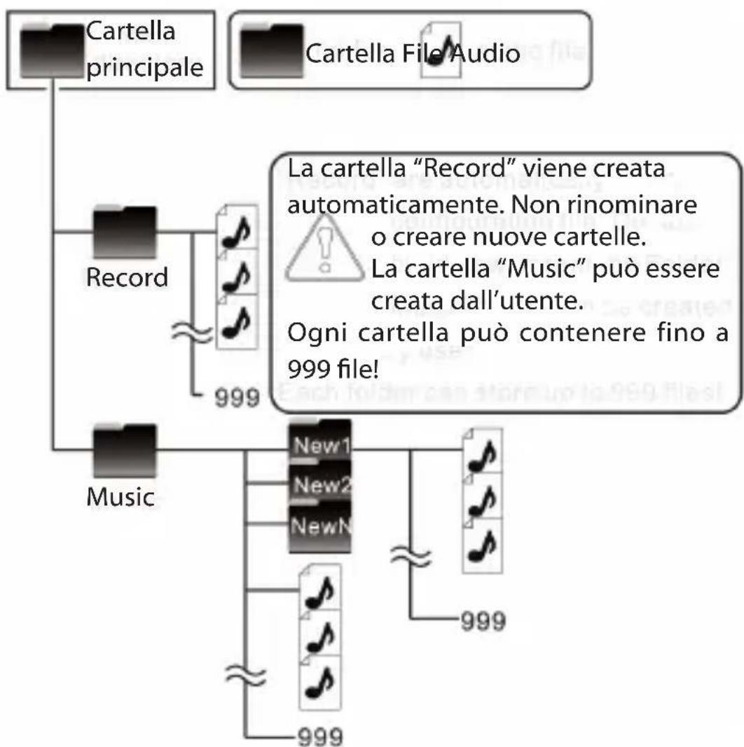 Trevi DR 437 SA2 - File e cartelle - 1