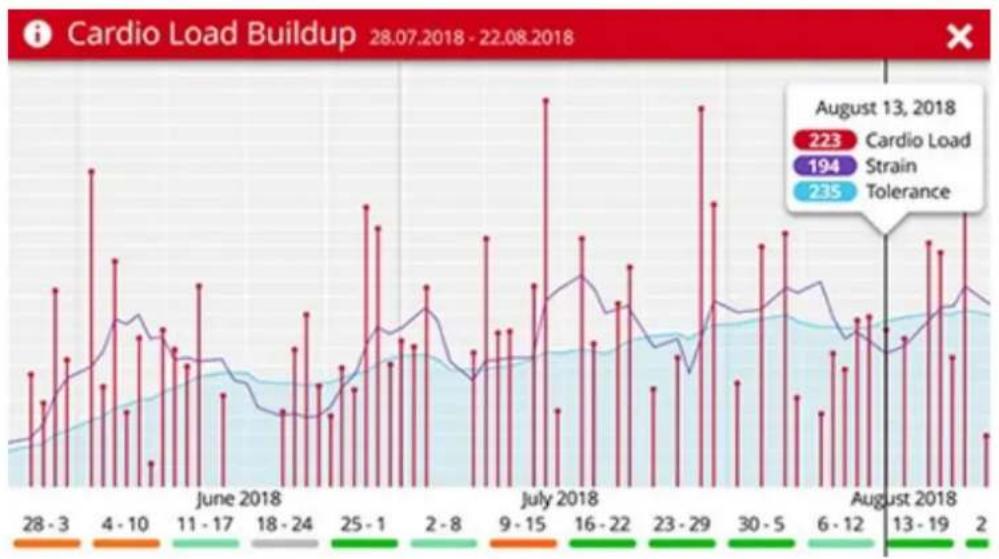 POLAR Vantage M3 - Analyse à long terme dans l'application et sur le service Web Flow - 2