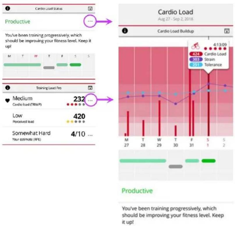 POLAR Vantage M3 - Analyse à long terme dans l'application et sur le service Web Flow - 1