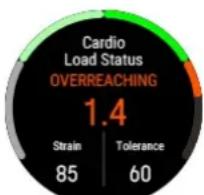 POLAR Vantage M3 - Statut de Charge cardiaque - 1