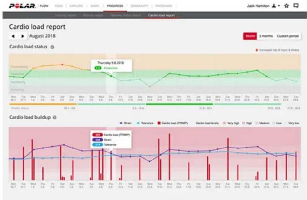 POLAR Vantage M3 - Analyse à long terme dans l'application et sur le service Web Flow - 3