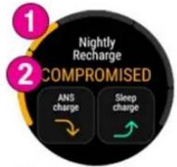 POLAR Vantage M3 - Nightly Recharge sur votre montre - 3