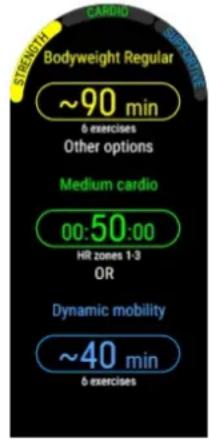 POLAR Vantage M3 - FitSpark sur votre montre - 2