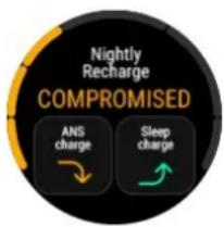 POLAR Vantage M3 - MESURE DE LA RÉCUPÉRATION NIGHTLY RECHARGE™ - 1