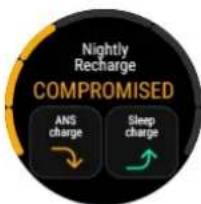 POLAR Vantage M3 - Nightly Recharge - 1