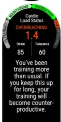 POLAR Vantage M3 - Statut de Charge cardiaque - 2