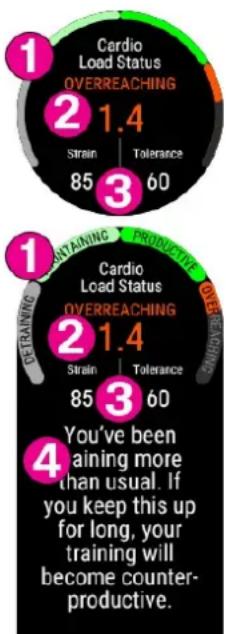 POLAR Vantage M3 - Statut de charge cardiaque sur votre montre - 1