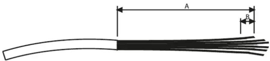 A B