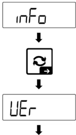 Kern TKXC-TM-A - Display software version - 1