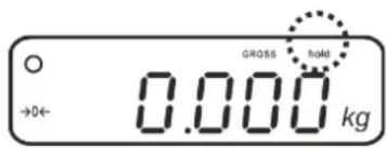 GROSS hold 0.000 kg