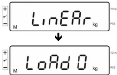 Kern KFS-TM - Linearisierung - 1