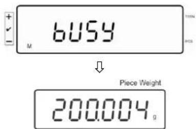 6 USY M Piece Weight 200.004 g