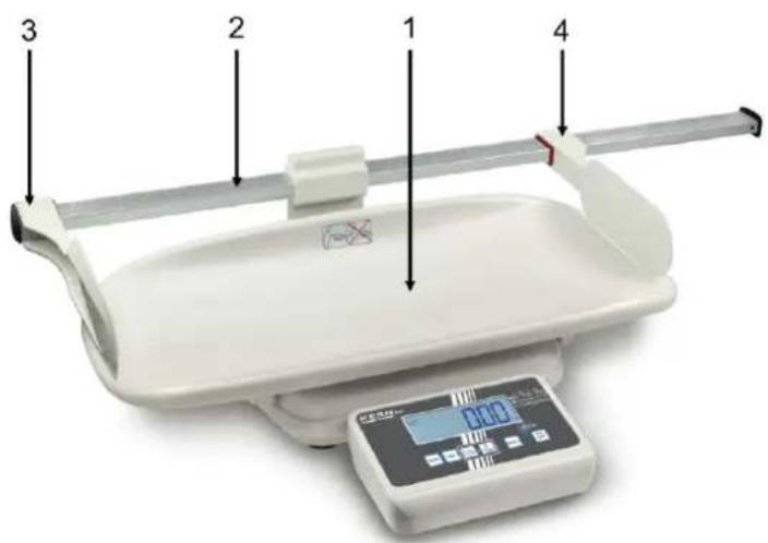 Kern MBC-A01 - Pomiar wzrostu - 1