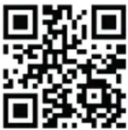 PRIMO PR253OV - WEBSHOP - 2