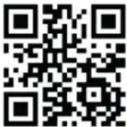PRIMO FR3-WS - WEBSHOP - 2