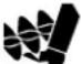 NAC 6210701X54N - 9