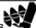 NAC MM741450E - PAVOJUS - 1