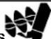 NAC MM691150E - PAVOJUS - 1